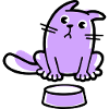 Lila Katze