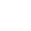 WHITE CLIMBING CARABINER