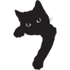 Chat noir mignon