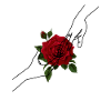 Rose Design