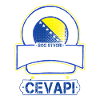 Bosanci i cevapi