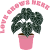 Love grows here