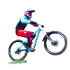 vtt mtb downhill