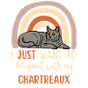 Cute Carthusian cat