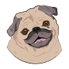 Der Mops - Textilien & Accessoires