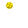 Pickleball Focus