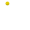 Concentrate Pickleball