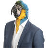 Papageier