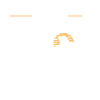 Wandered - Le dos du dragon