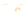Randonnée - Cloud Forest Trek