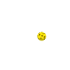 Pickleball The Human Backboard