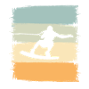 Wakeskaten Wakeskating Wakeskater Wakeboard