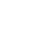 Penguin - Penguin