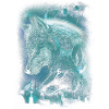 WOLVES PLANET SPACE SPIRITUALITY