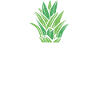 Math Pi-Pineapple Pi