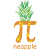 Math Pi-Ananas Pi