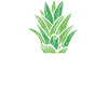 Math Pi-Pineapple Pi