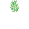 Math Pi-Ananas Pi