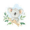 Koala Blue Olivia