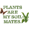 Plants are my soil mates