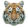 Polygon Tiger