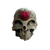 Skull with roses
