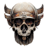 Viking Warrior Skull