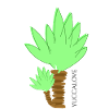 Yucca Love