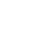 Professional Weenie Roaster - Weenie