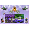 Provence