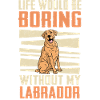 Labrador Dog