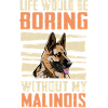 Malinois Dog