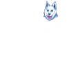 Siberian Husky Dog