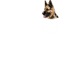 Malinois Dog