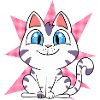 Funny Kitten Cat
