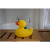 Rubber ducky