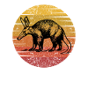 Aardvark Fourmi africaine Ours Edentate