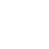 Geige