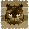 Chat