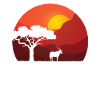 Antelope Safari Design