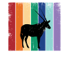 Antelope