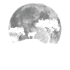 Antelope Moon Design