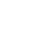 Little cute turtle