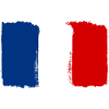 France flag used look