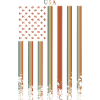 USA Flag Retro