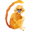 langur
