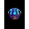 Skull cat