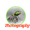 Wildlife