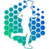 Course de fond Marathon