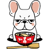 Français Bulldog Japan Dog Frenchie